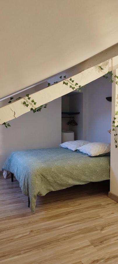 L'Appartement 7 - Centre Ville-Parking-Tv-Wifi Tarbes Exteriör bild